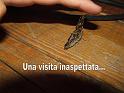 Una visita inaspettata